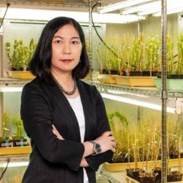 Prof. Dr. Keiko Torii